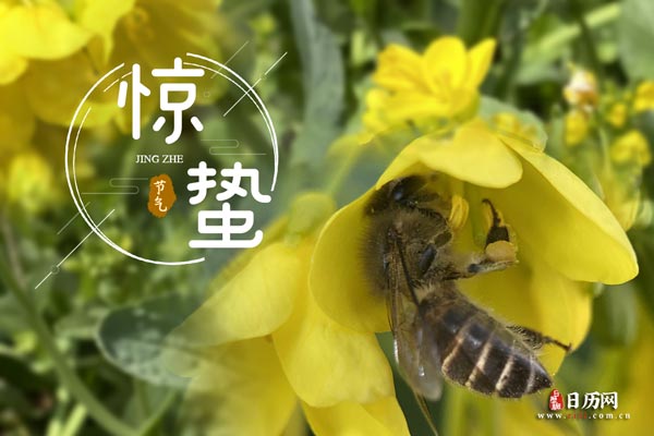 惊蛰文字版